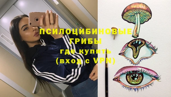 прущие крисы Абаза