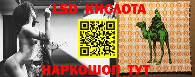 mdma Гатчина