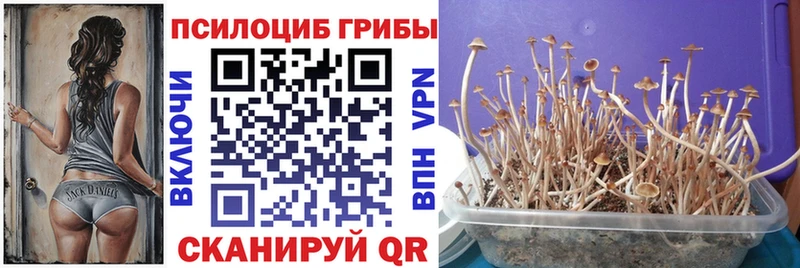 Псилоцибиновые грибы мухоморы  как найти закладки  Советская Гавань 